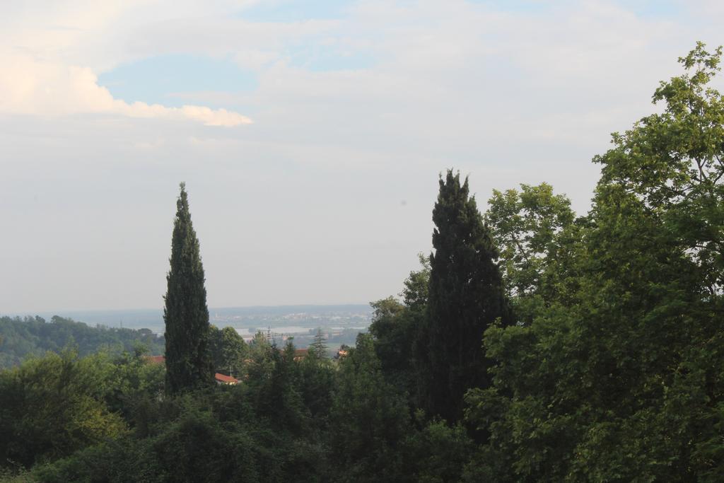 Lady Frantoio Toscano Corsanico-Bargecchia Eksteriør bilde